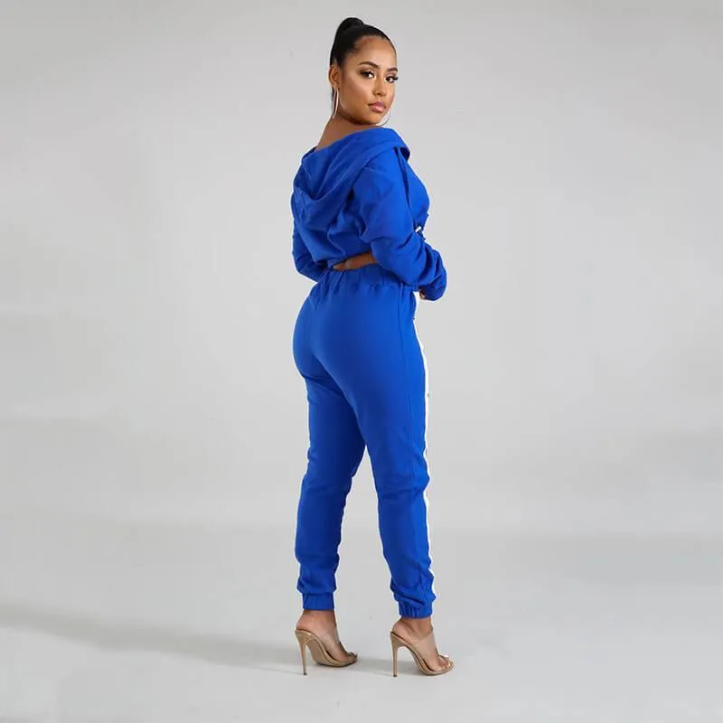 Blue Crop Top Skinny Pencil Pants Sets