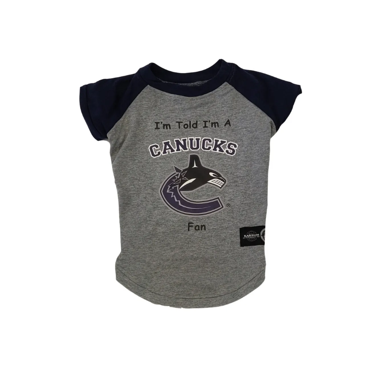 Canucks fan t-shirt - grey/blue