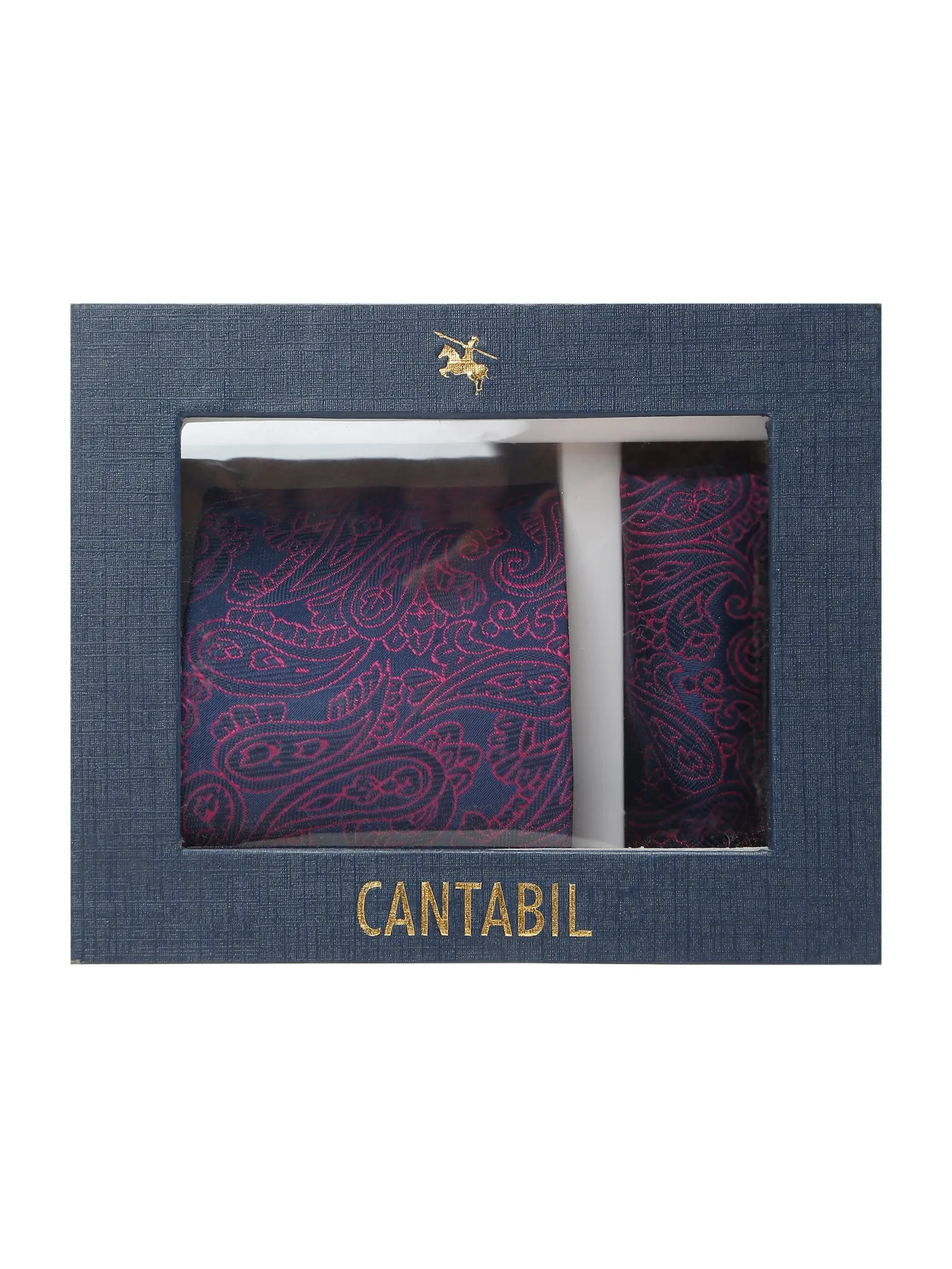 Men's Magenta Fashion Paisley Pattern Tie Set